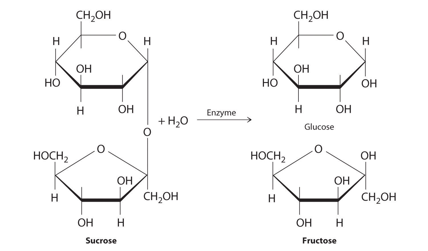 How Many Asymmetric Carbons Are There In The Sugar Glucose