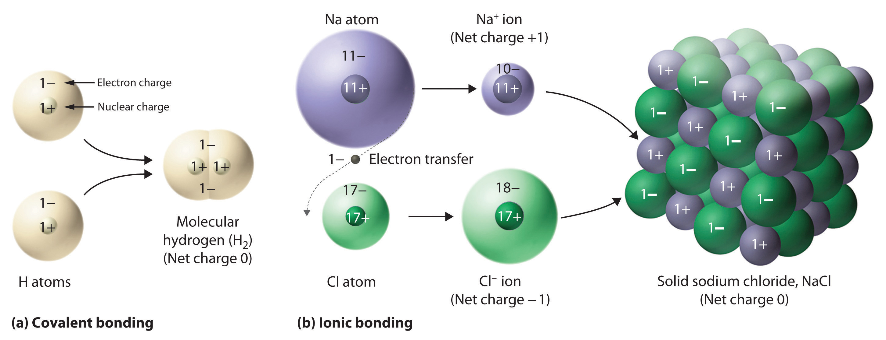 Chem4kids.com: neon: general info and everyday items