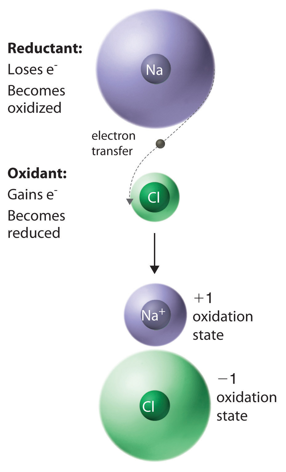 Neutral Potassium Atom