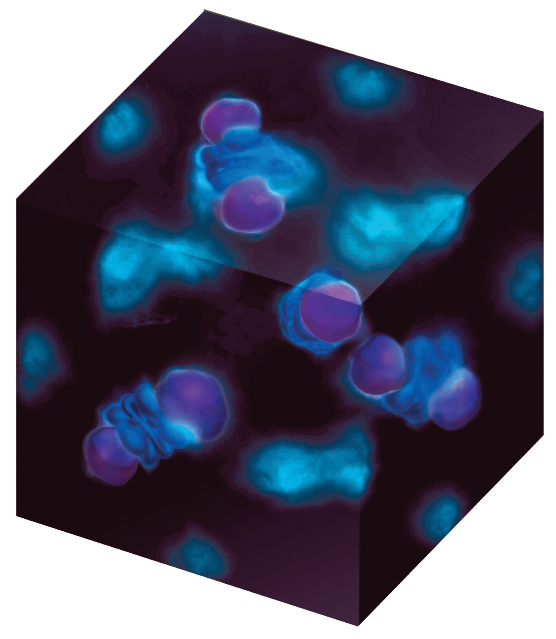 Chemical Bonding Models