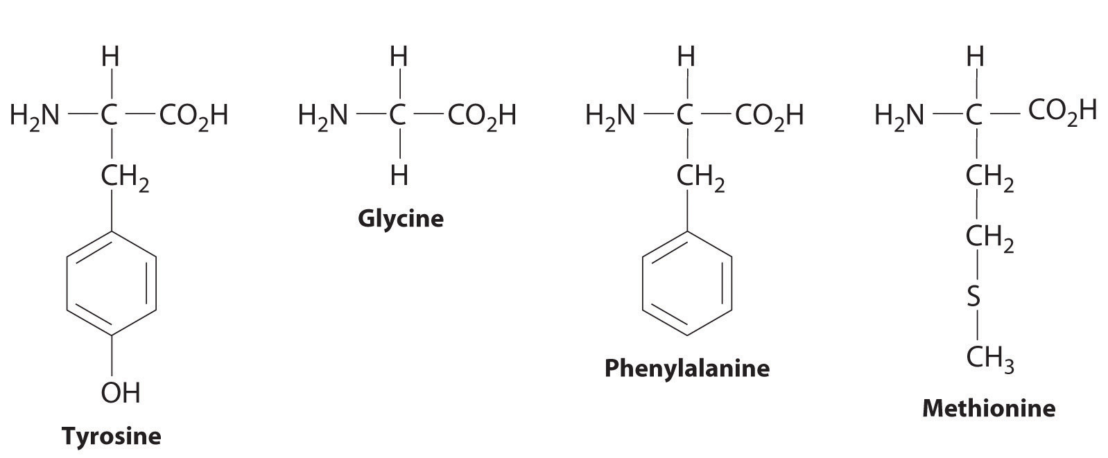 methionine structure