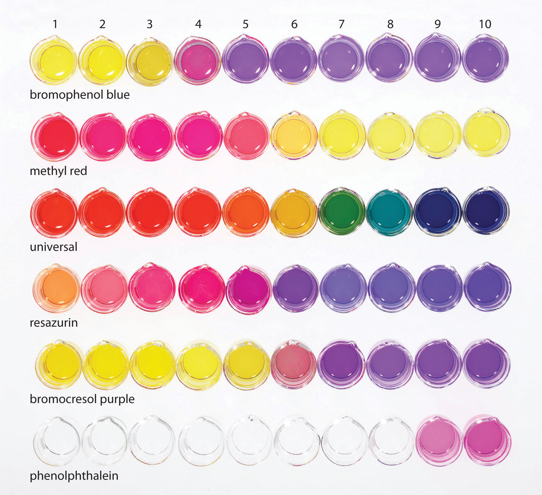 Bases And Acids