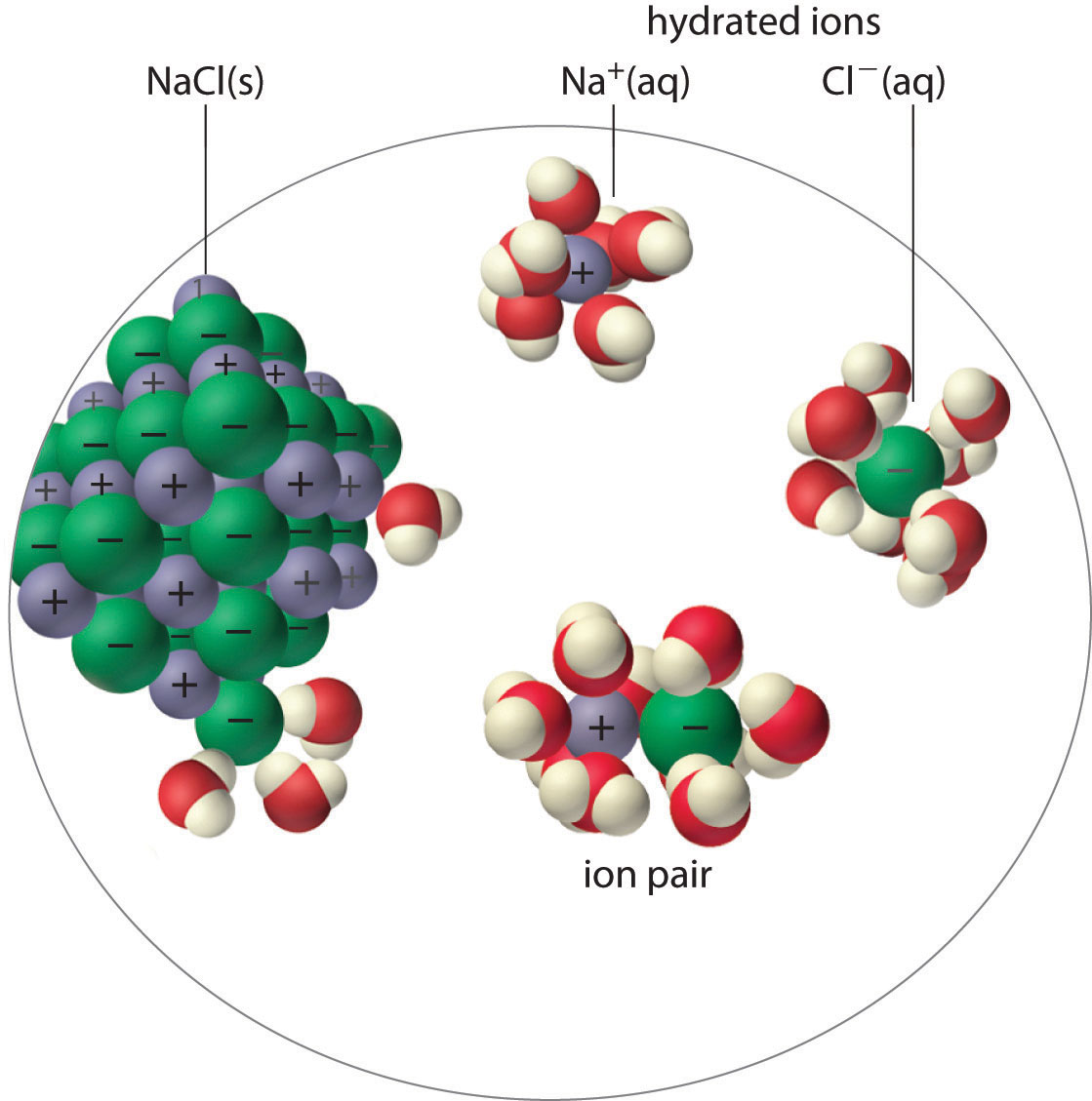 Ion Pair