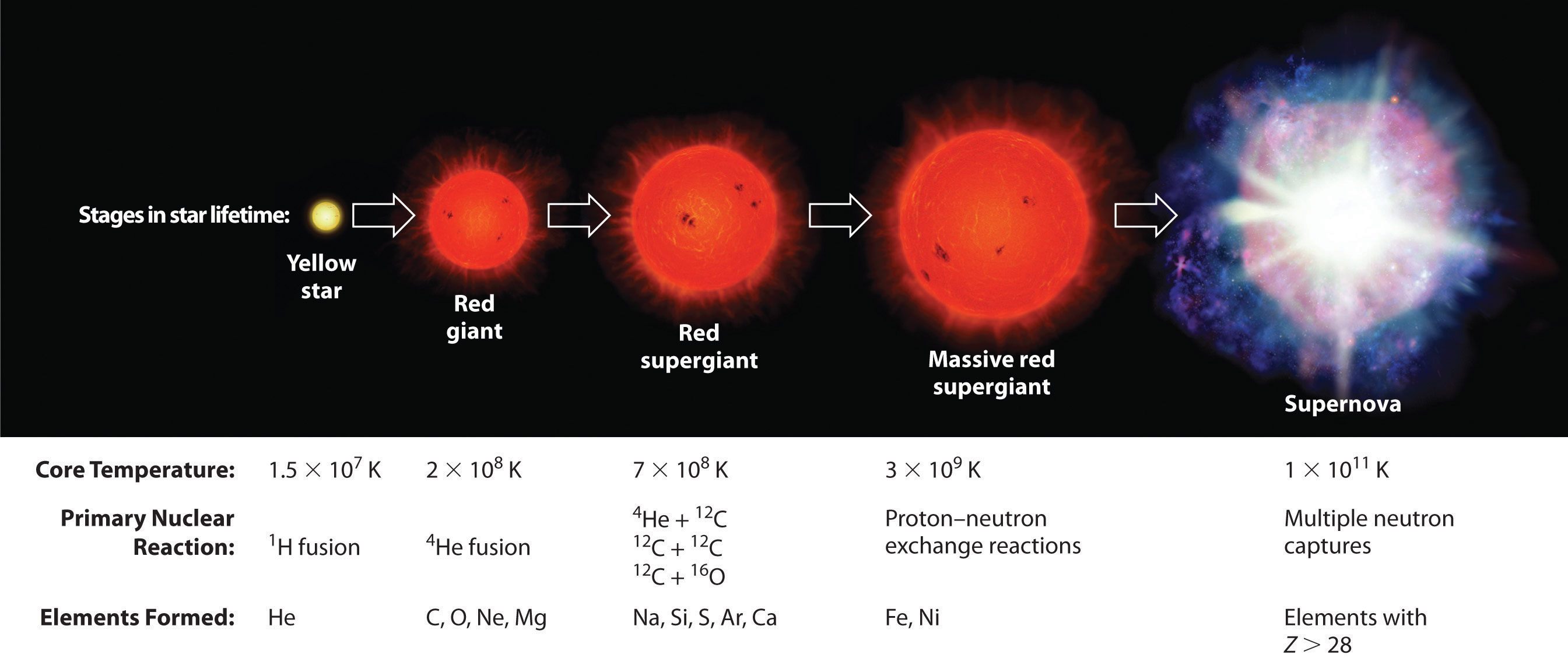 Life Cycle Of A Star The First Stage Hidden Dorm Sex