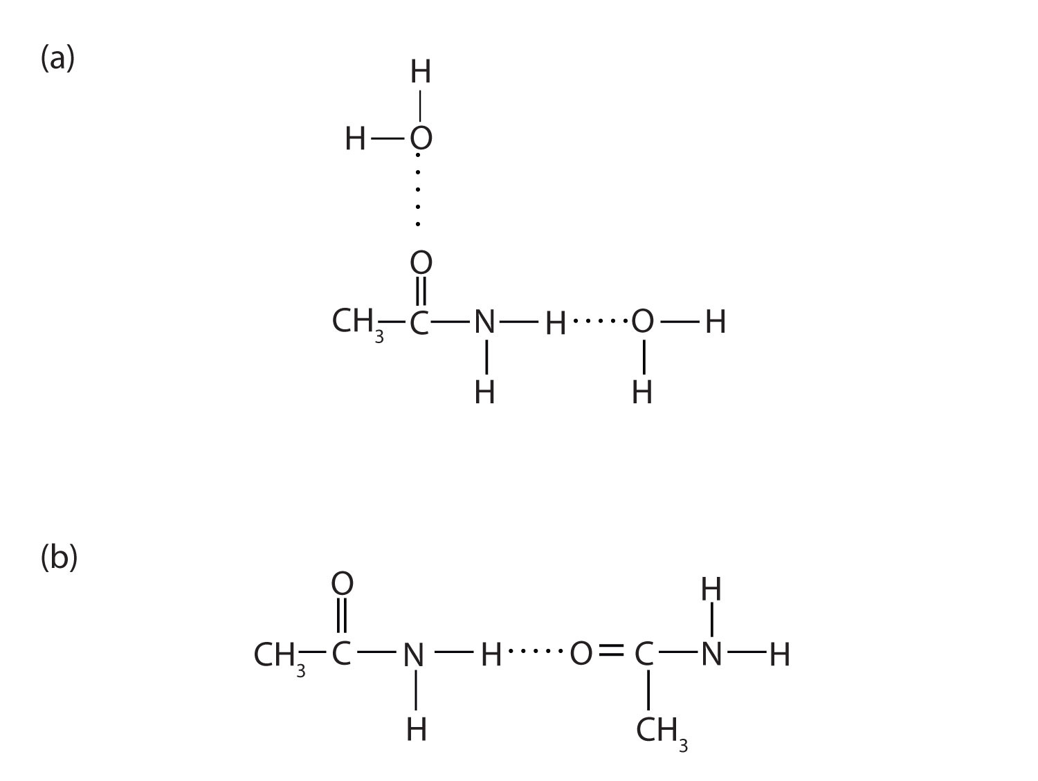 Amide Group