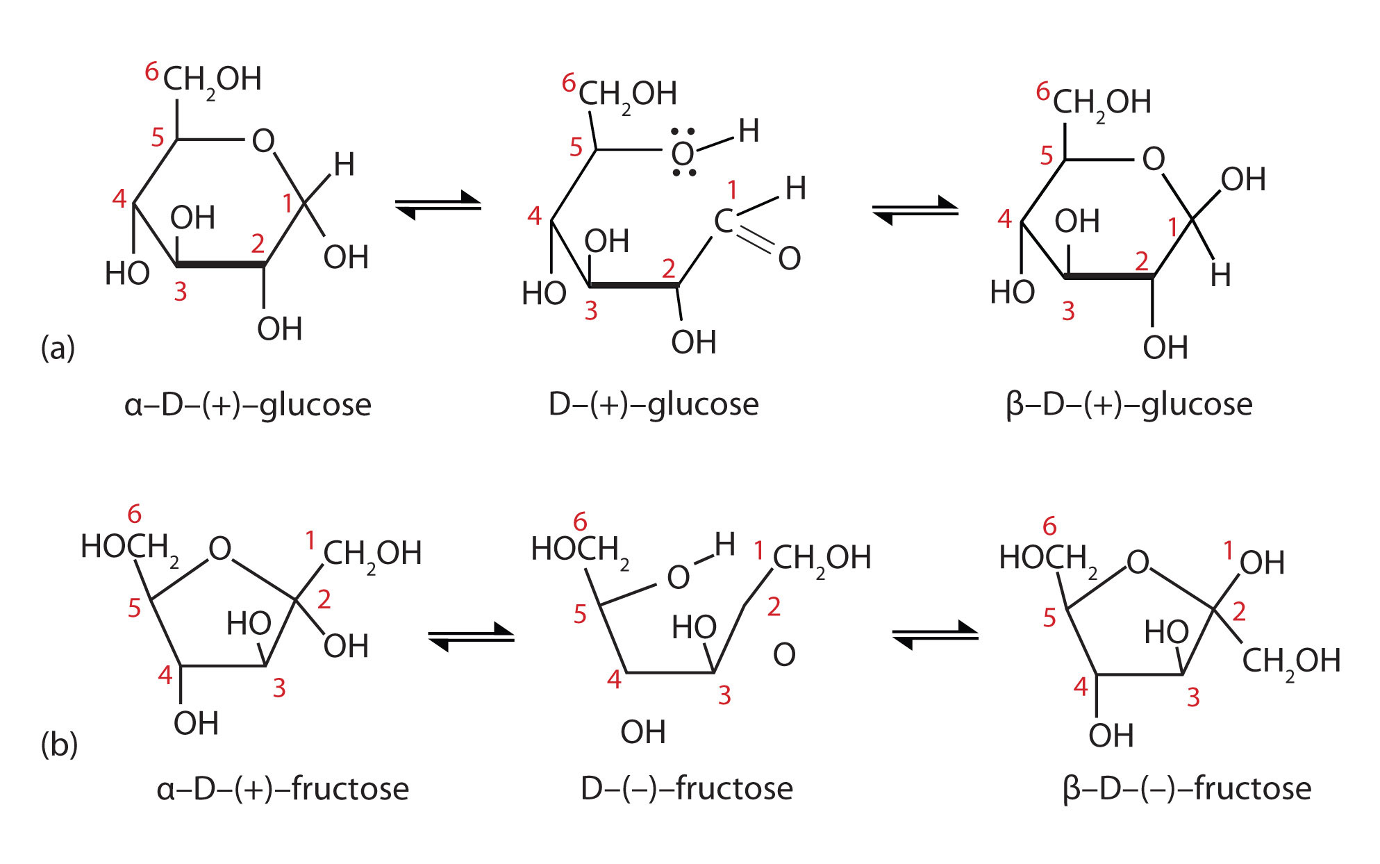straight chain glucose