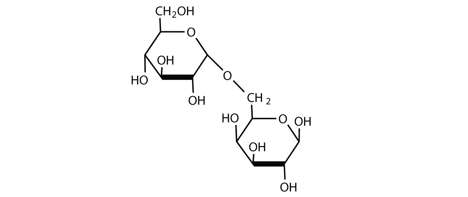 disaccharide maltose