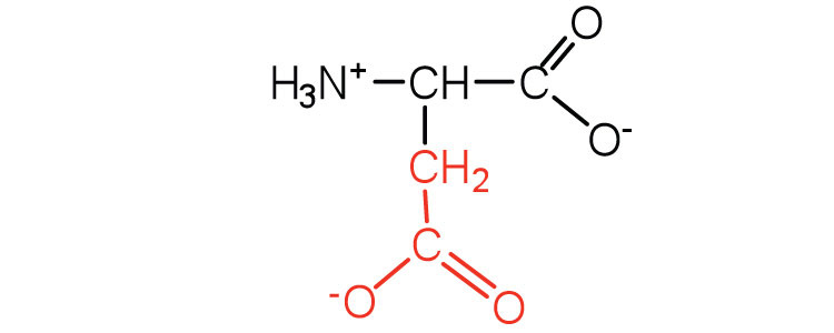 charged amino acids. Amino acids with a negatively