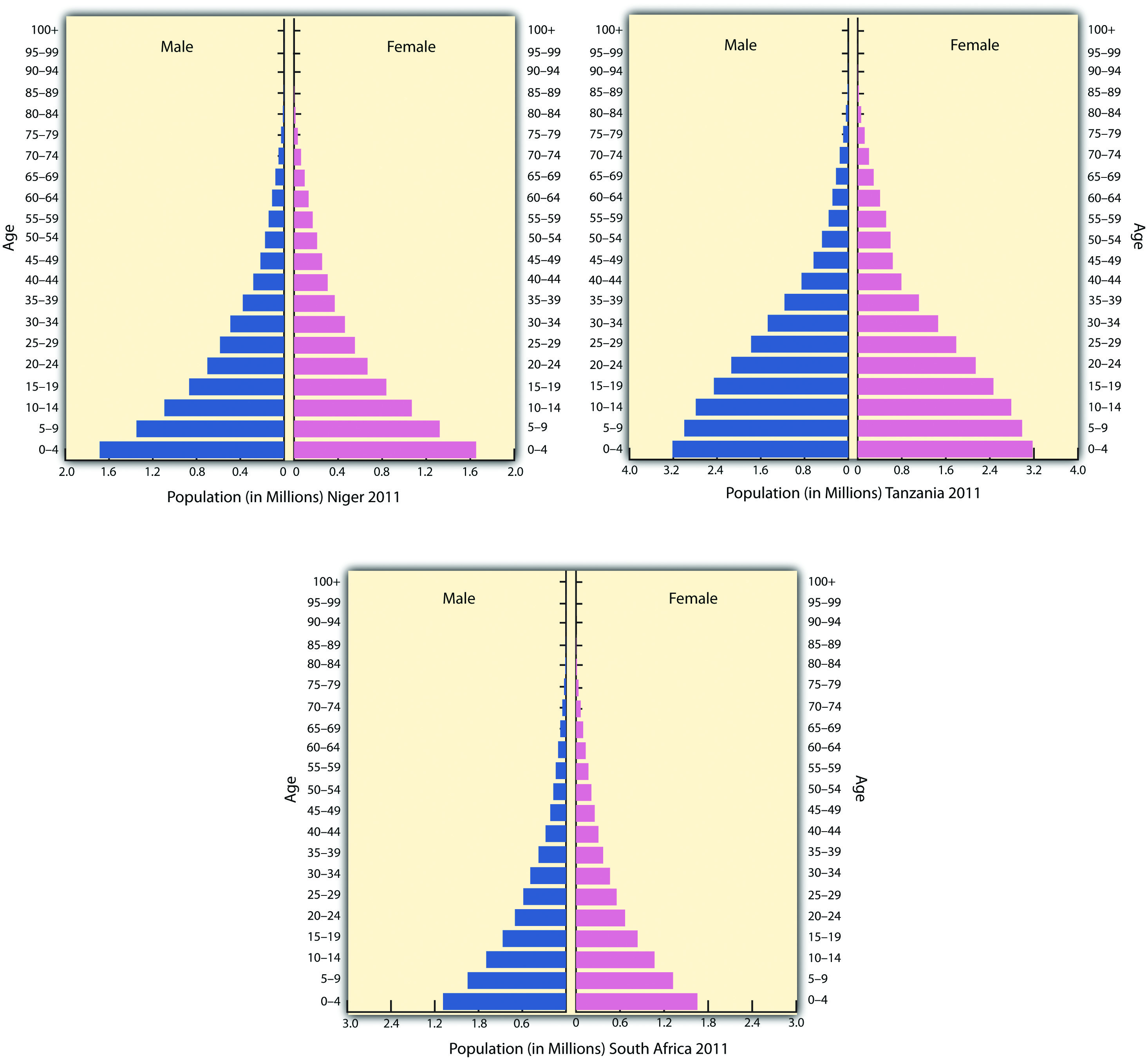 Expanding Declining And Stable Population Pyramids