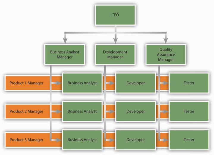 balanced matrix organization