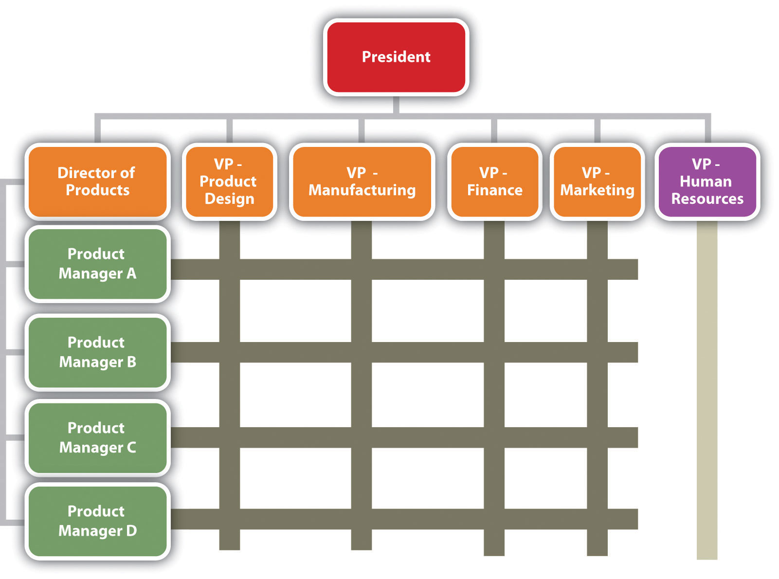 figure 10.8 organization chart: matrix structure