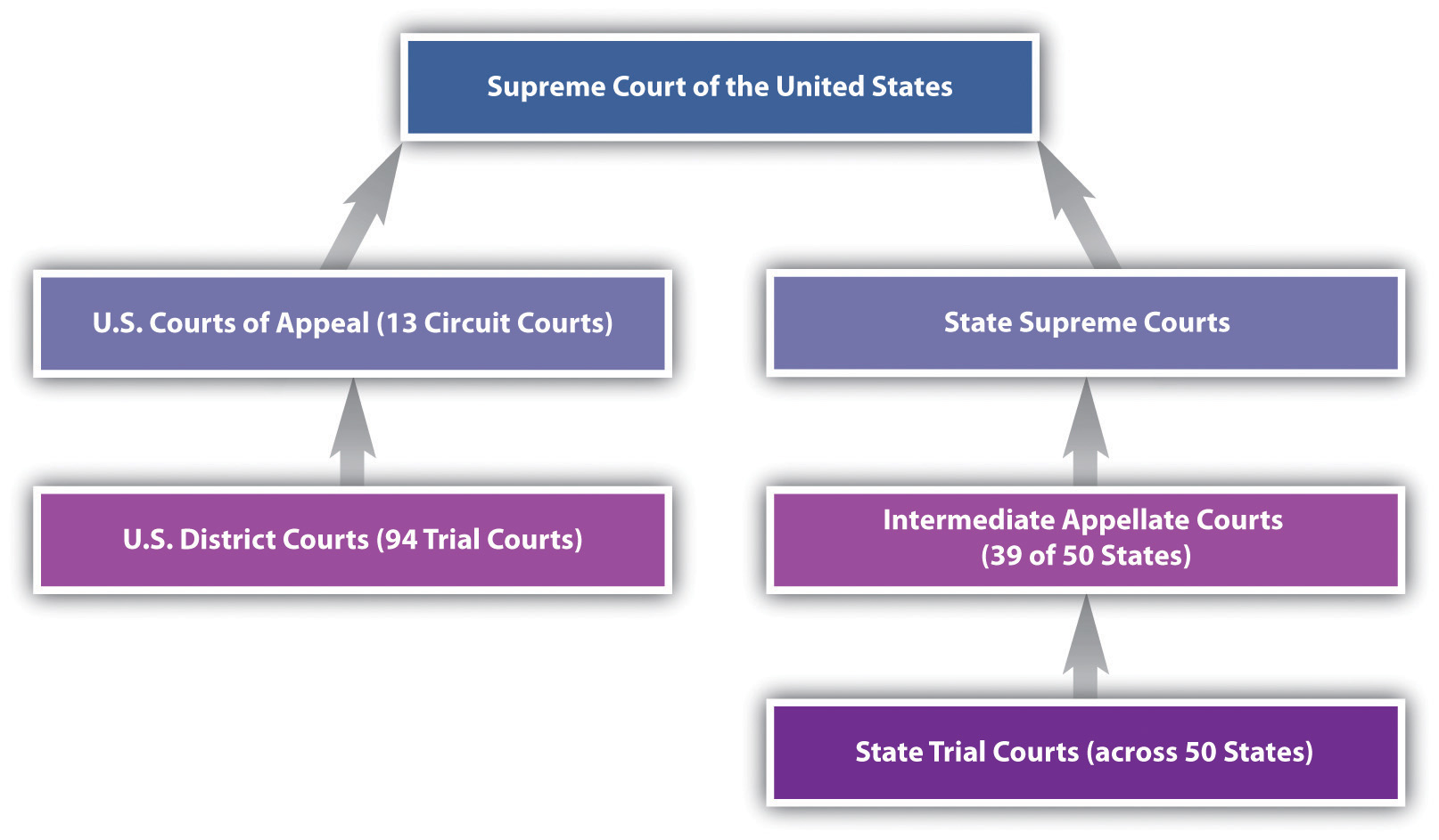 Court Hierarchy Us