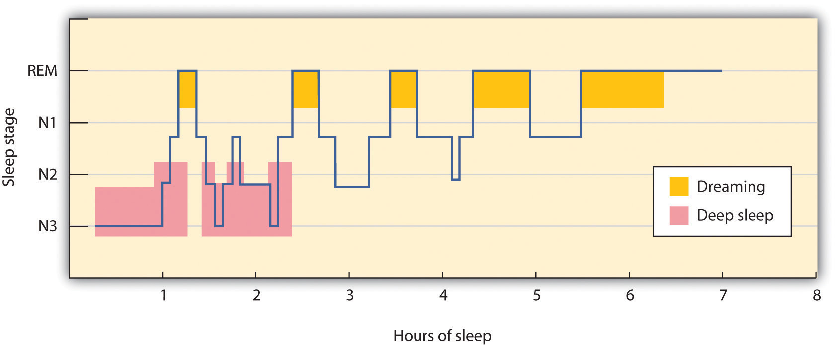 Rem Cycle Chart