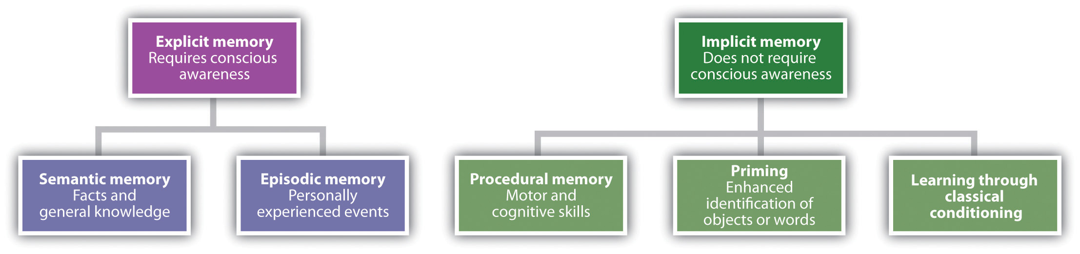 eidetic definition