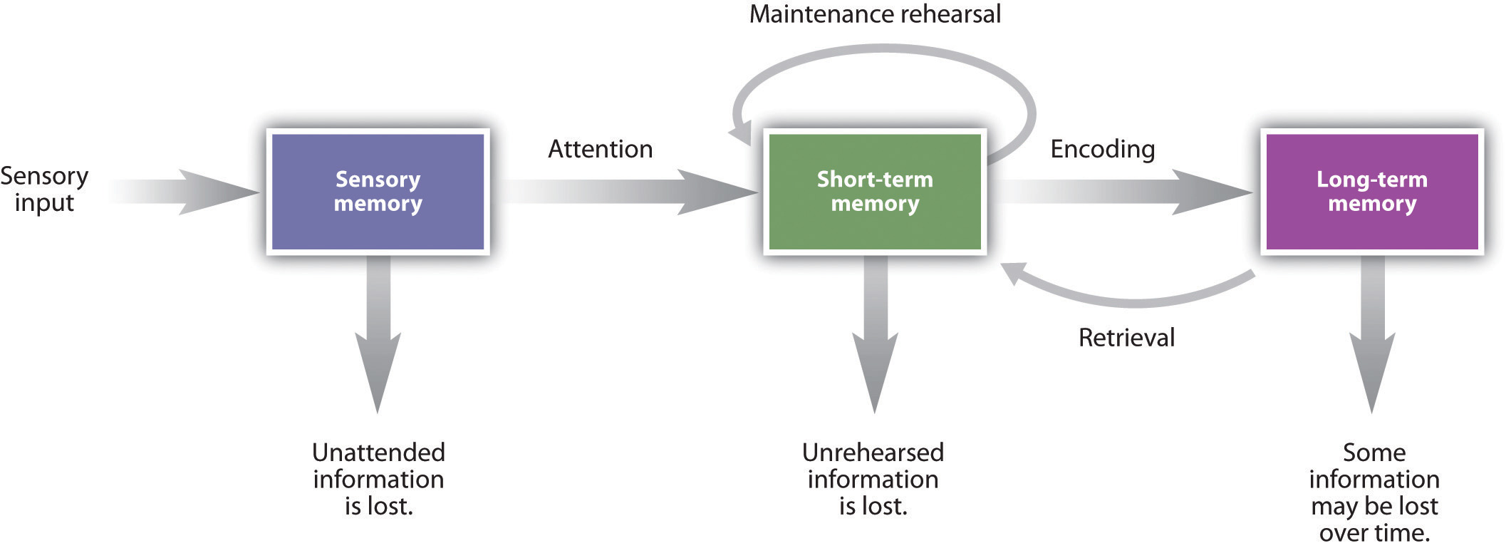 Chunking Refers To In Psychology