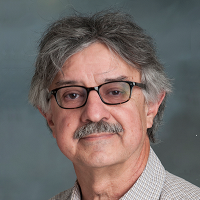 Martin saiz