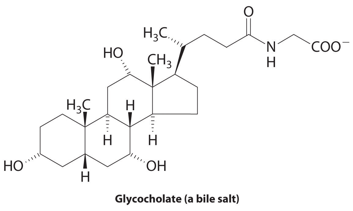 bile salt structure Applications Principles, and General Patterns, Chemistry: