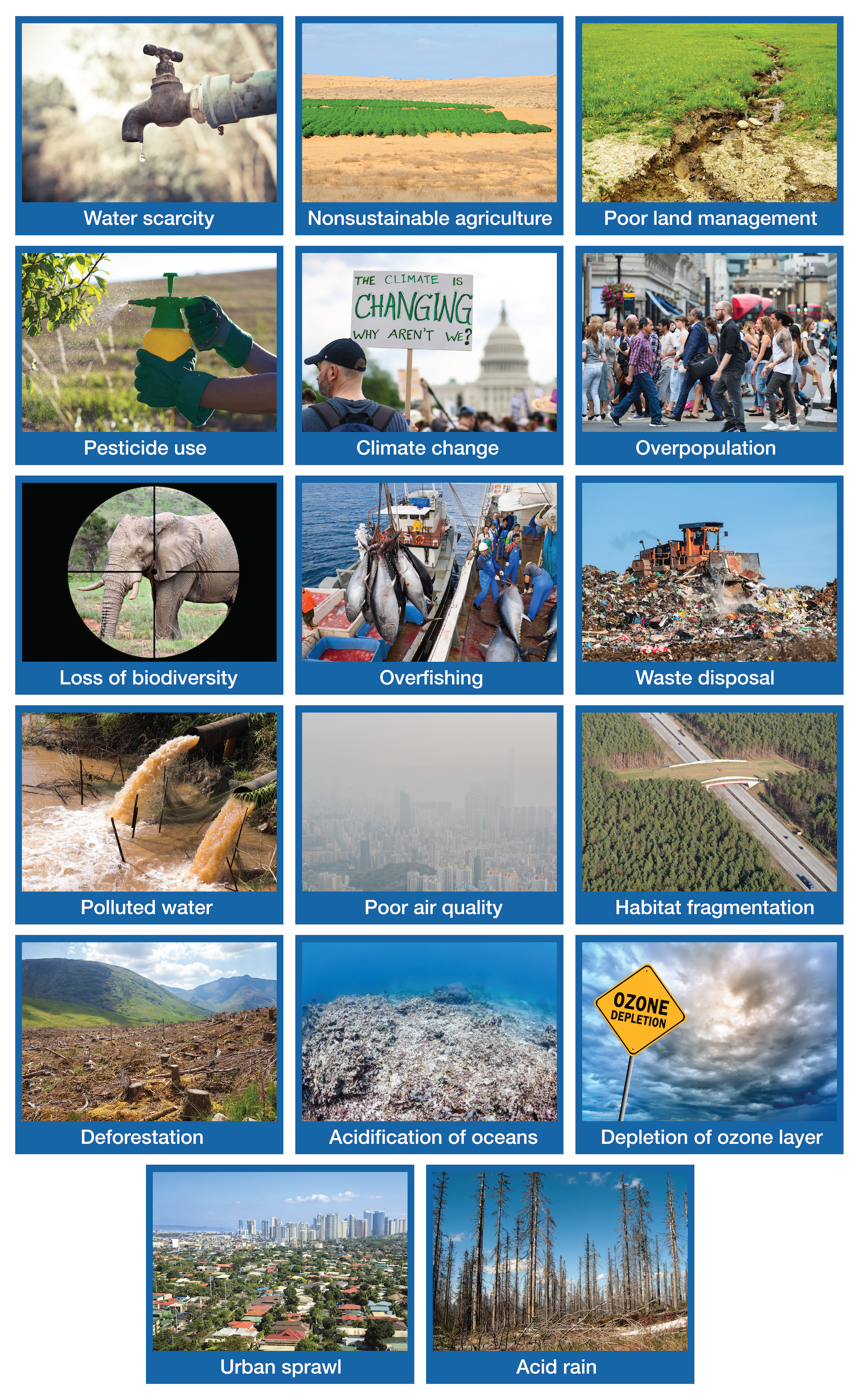 Major Environmental Risks FlatWorld Online Reader